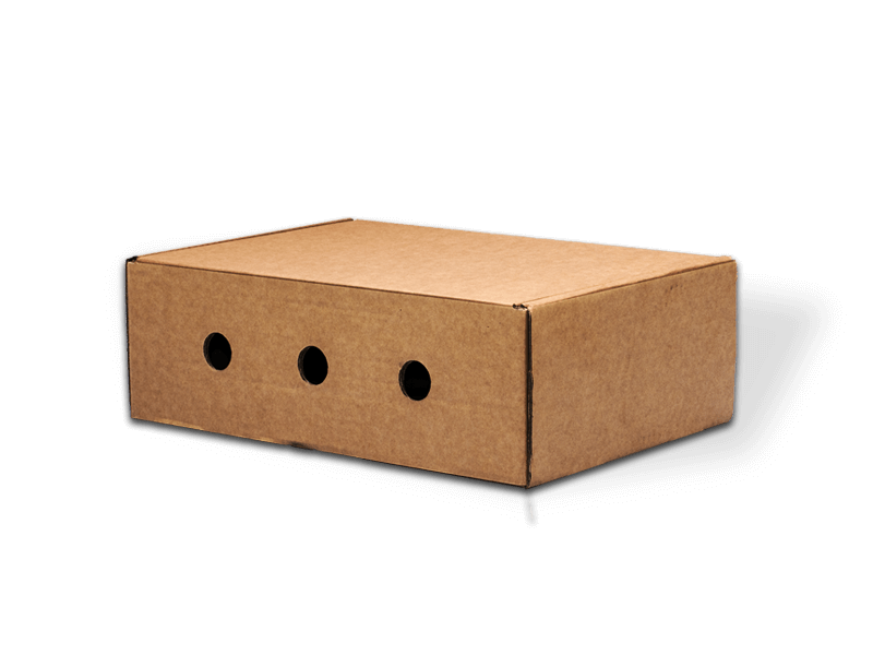 Ace Corrugated cardboad box